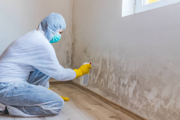 Licensed Commercial Mold Remediation service in Havertown, PA - WQB Mold Removal
