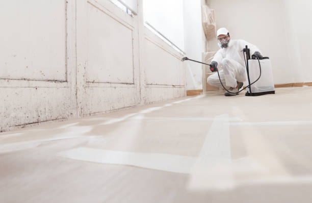 24/7 Emergency Commercial Mold Remediation experts in Havertown, PA