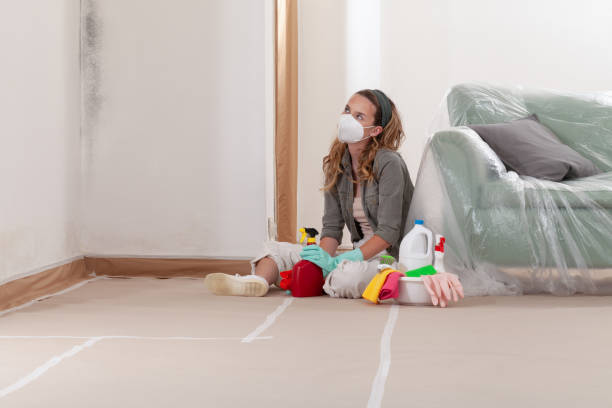 Reliable Commercial Mold Remediation contractor in Havertown, PA by WQB Mold Removal